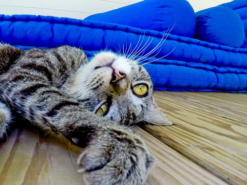 Made Dodi - Private Driver And Tour Guide Bali-库塔必去景点