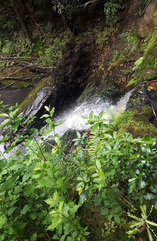 Pohuehue Waterfalls-瓦卡沃夫必去景点