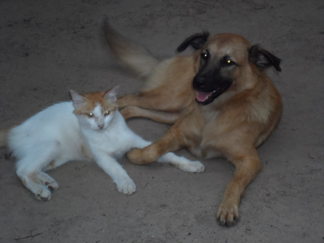 Ivindo National Park-Ogooue-Ivindo Province必去景点