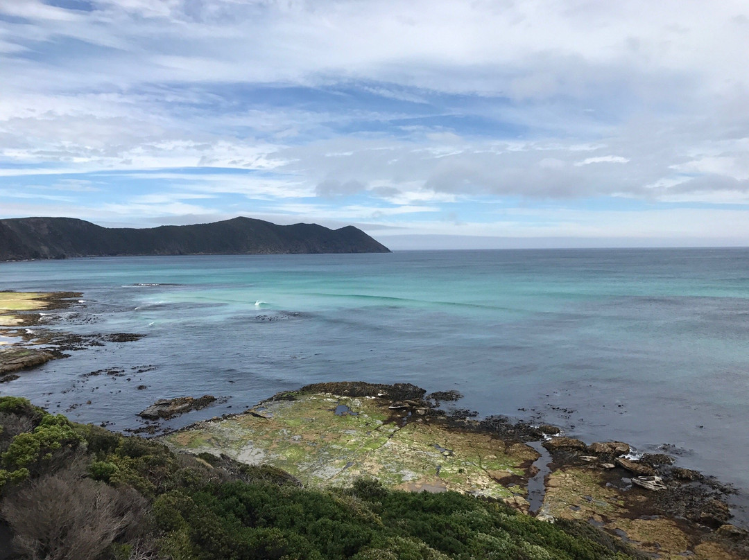 South Cape Bay-Southwest National Park必去景点