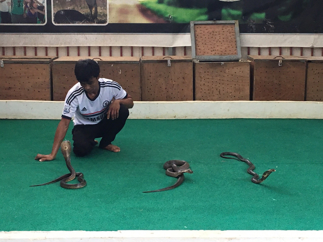 Phuket Bird Paradise-查龙必去景点