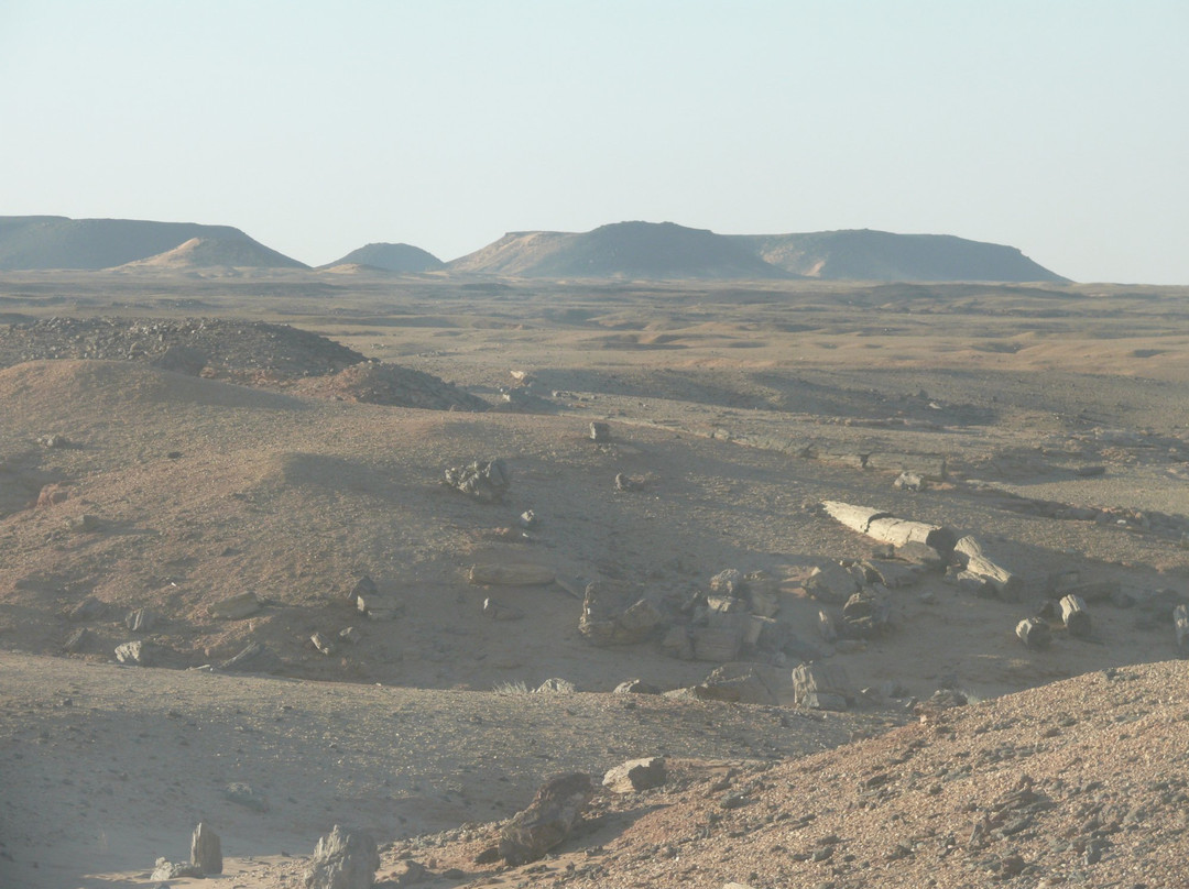 Petrified Forest-Merowe必去景点