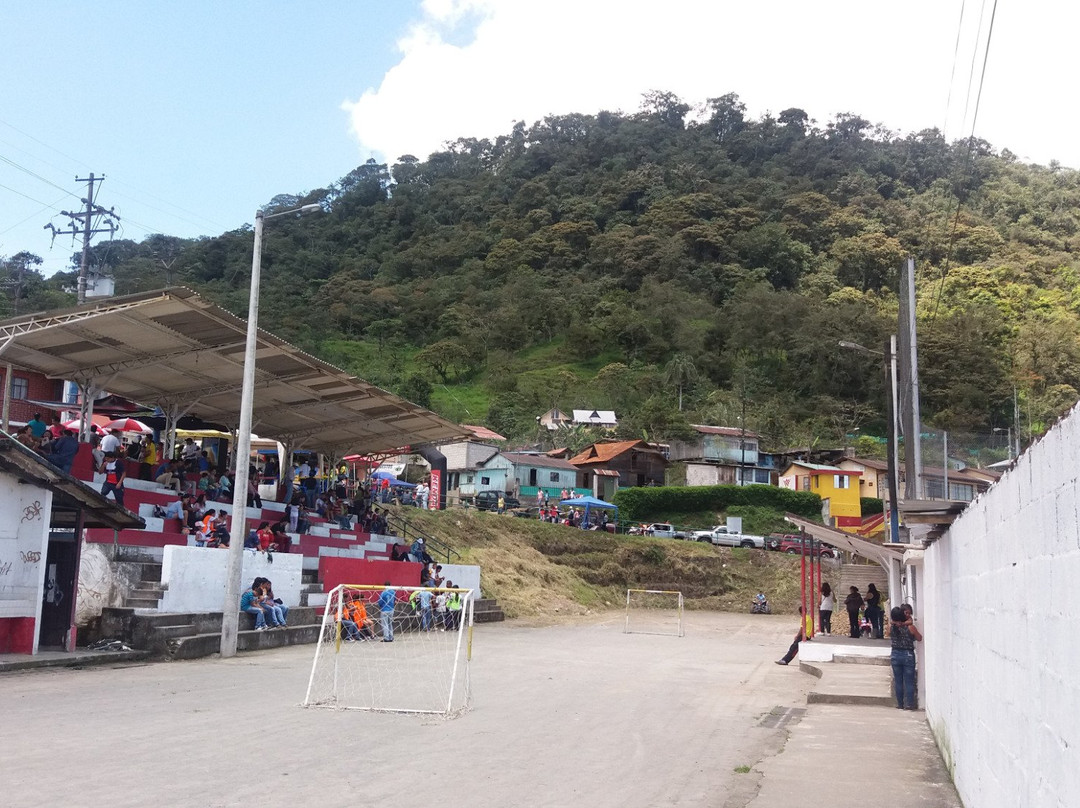 Nanegalito旅游景点-Puma Sacha