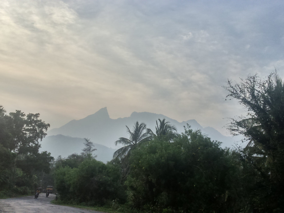 Attappadi Hills景点图片