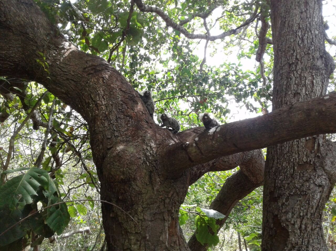 Ceara Botanical Park-Caucaia必去景点