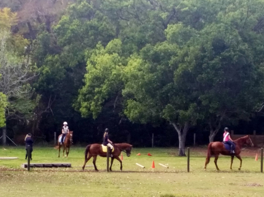 Wattle Creek Equestrian Centre-布里斯班必去景点