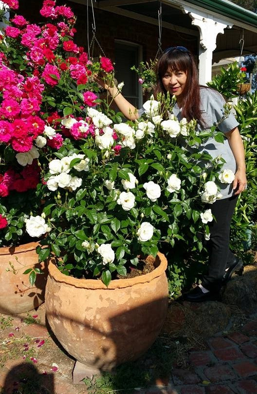 Liddelow on Avon主图