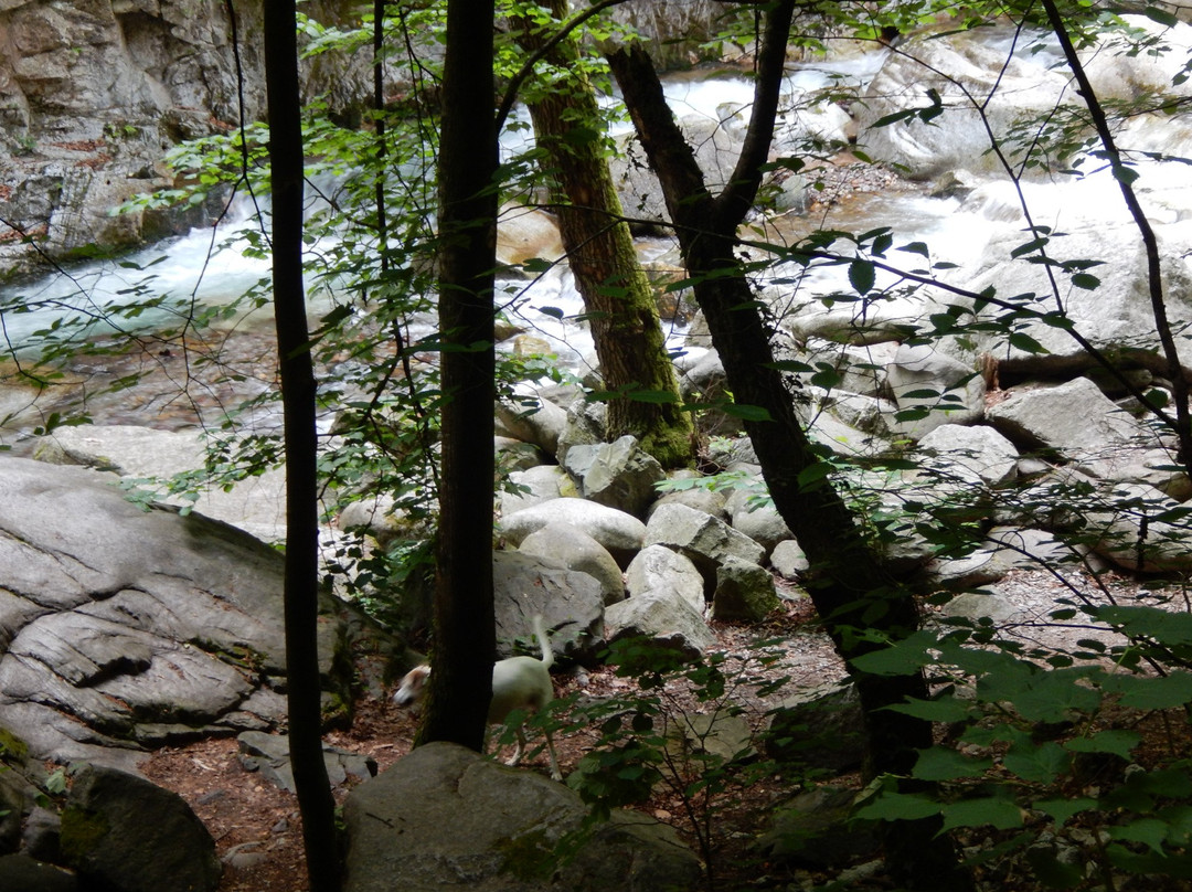 Gaul Canyon景点图片