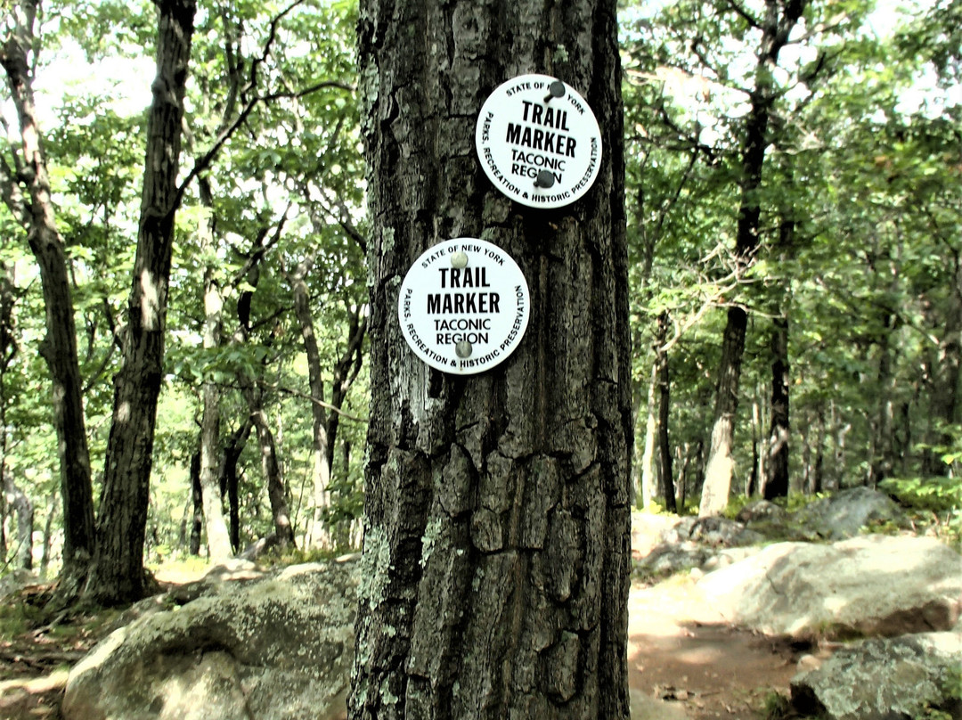 Bull Hill (Mt.Taurus)景点图片
