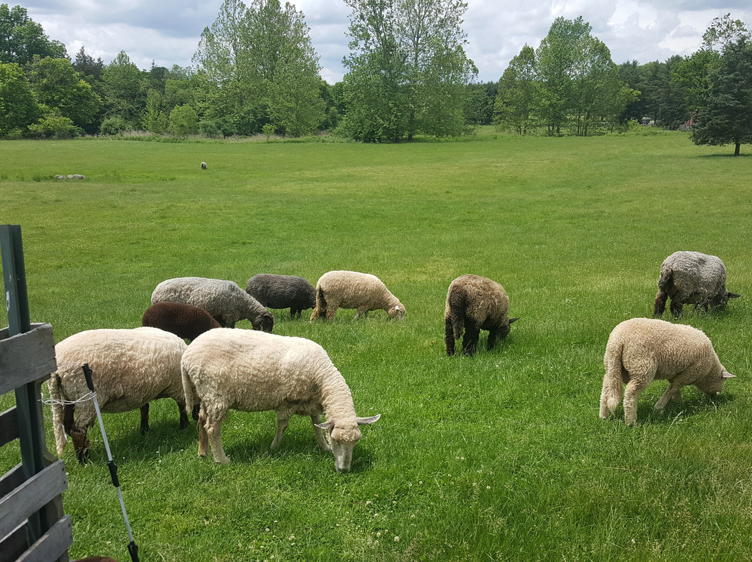 Howell Living History Farm-Lambertville必去景点