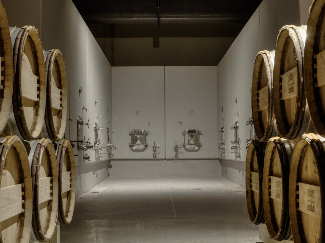 Domaine du Castel Winery-Yad Hashmona必去景点