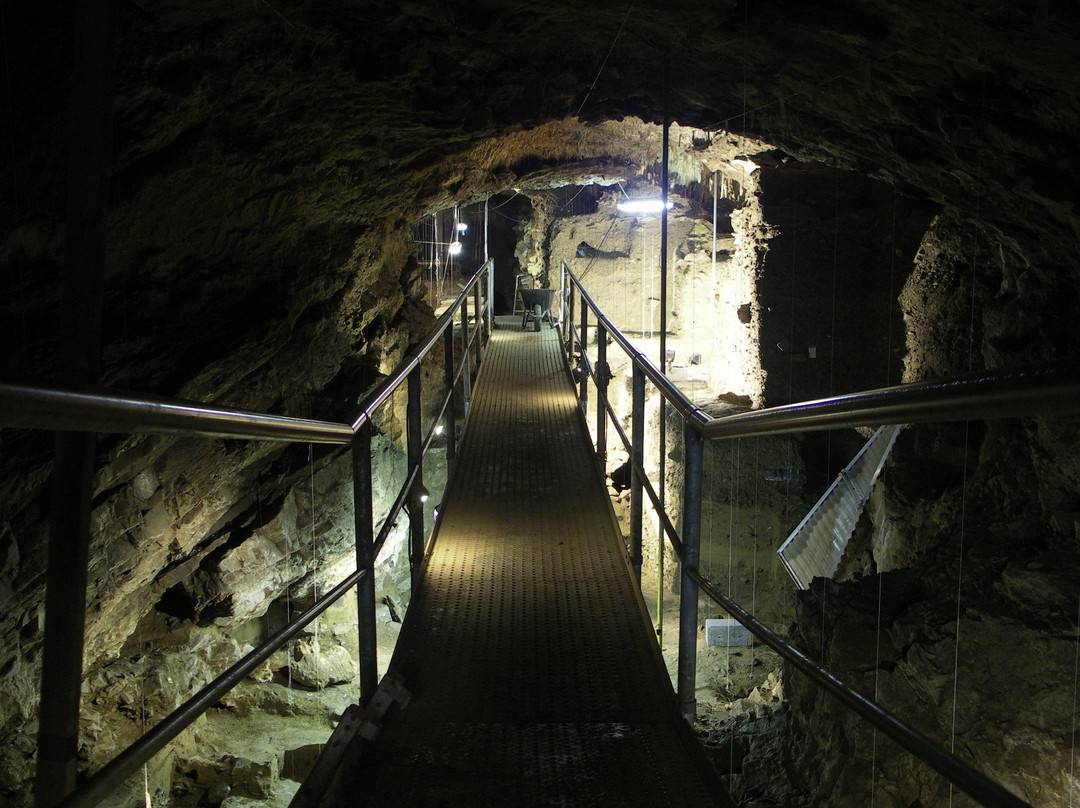 Grotte Scladina (Centre archéologique)景点图片