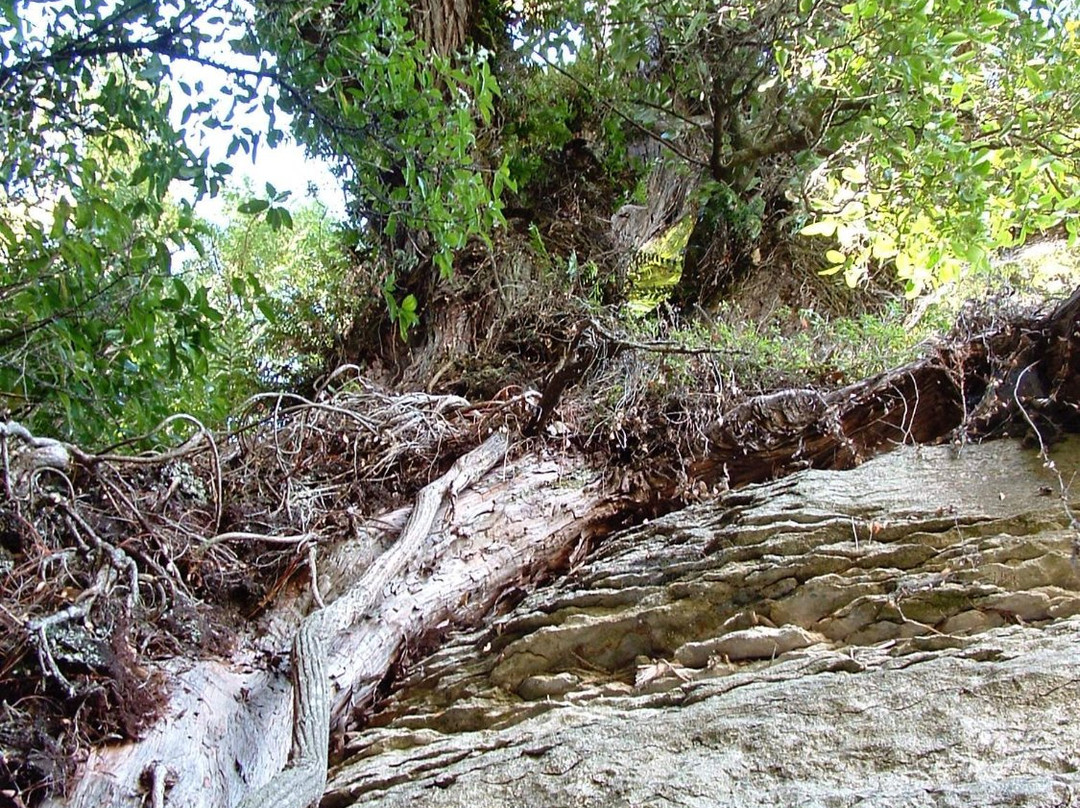 Golden Bay Vistor Centre-塔卡卡必去景点