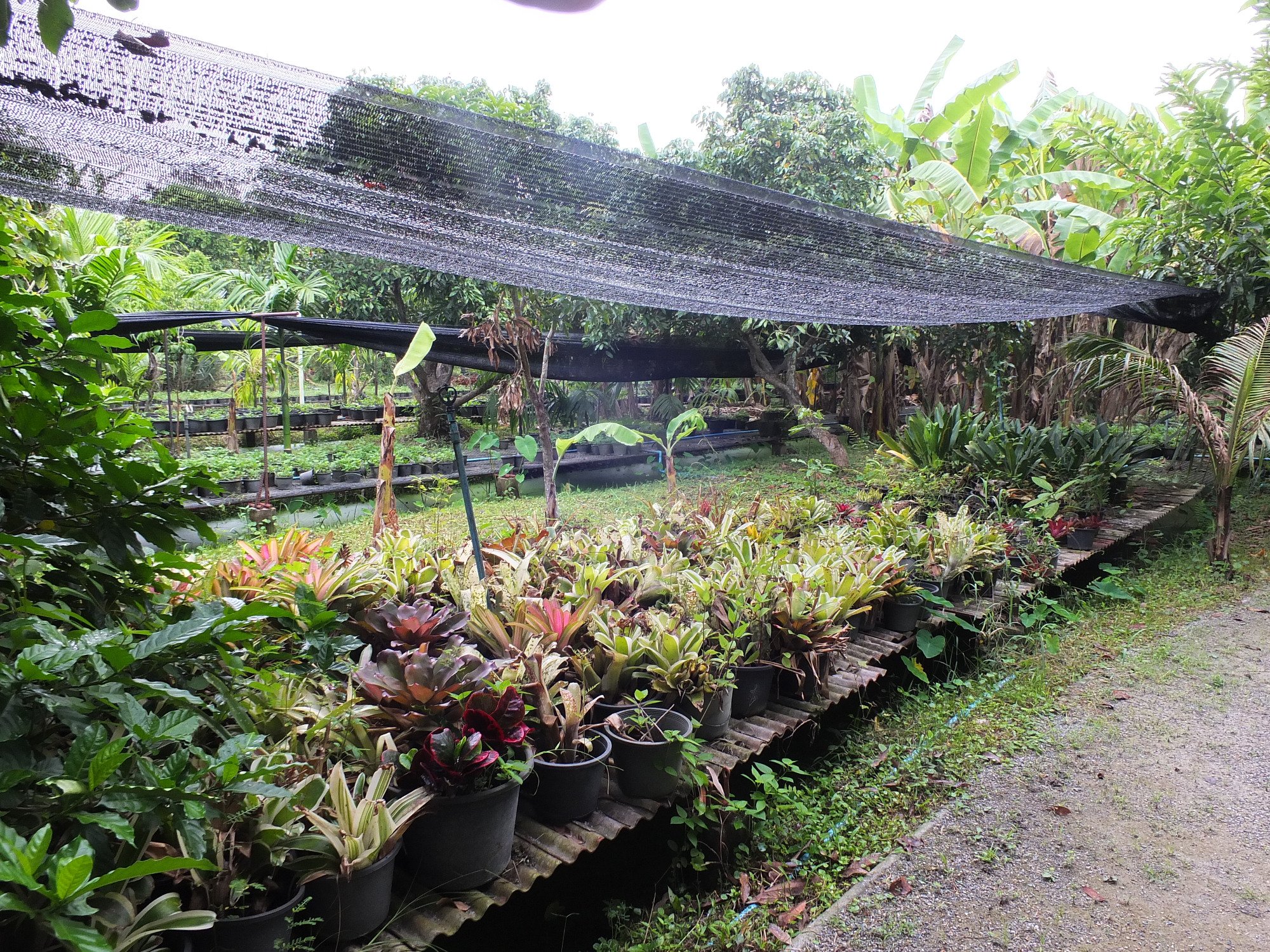 Racha Herb Gardens Resort-浴室