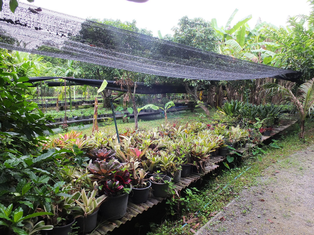 Racha Herb Gardens Resort主图