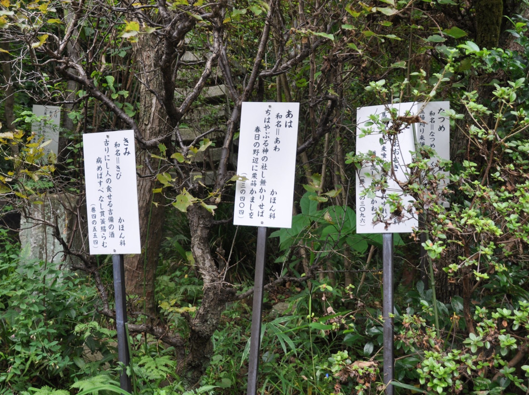 Manyo Botanical Garden-国分寺市必去景点