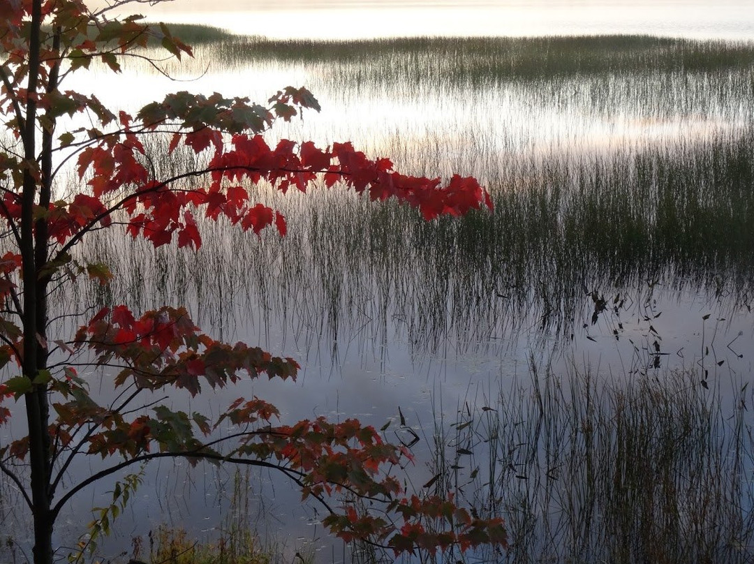 Lake Lila Primitive Area景点图片