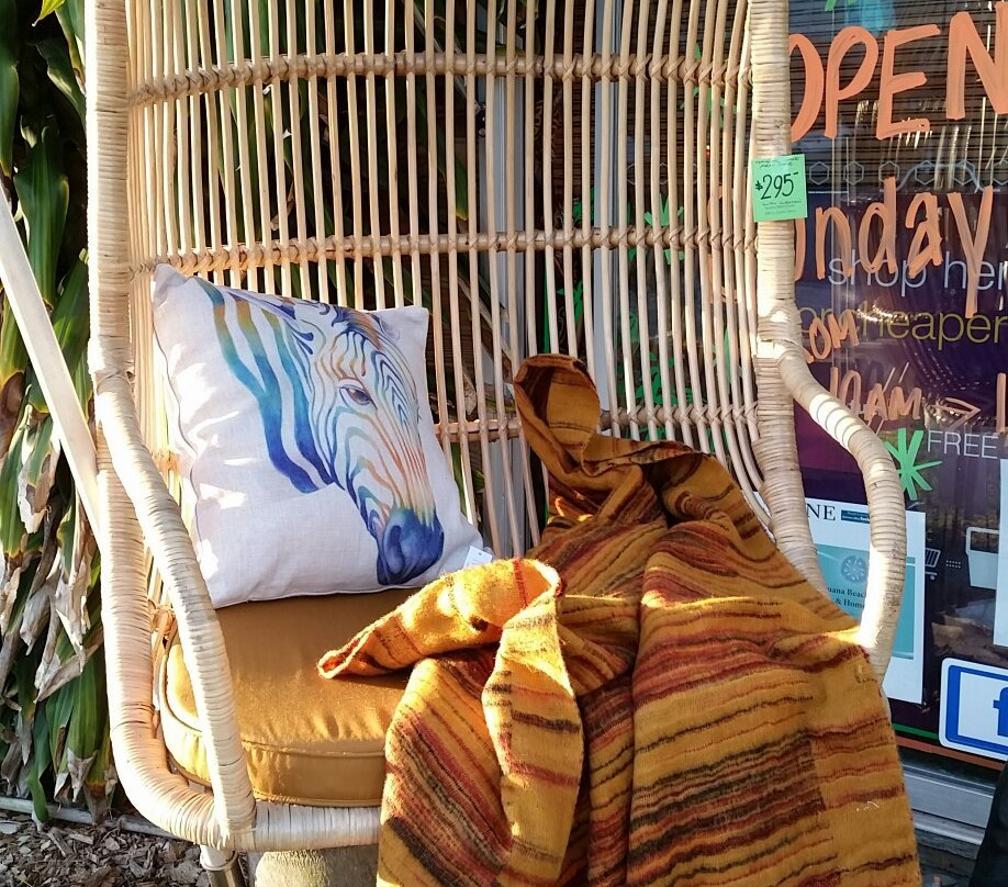 Iguana Beachwear Gifts & Home Decor景点图片