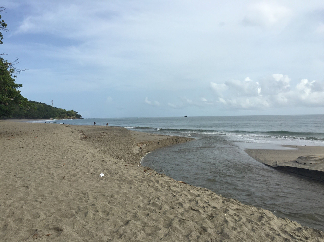 Salybia酒店住宿-Mc Eachnie’s Haven Resort