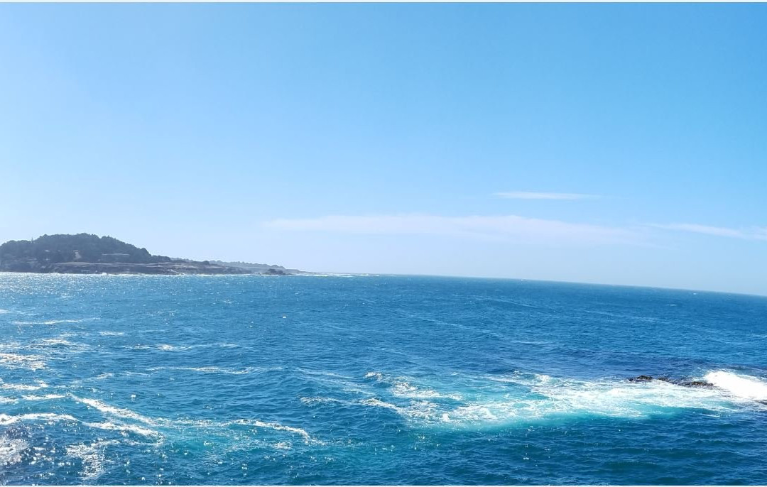 Mendocino Area Parks Association景点图片