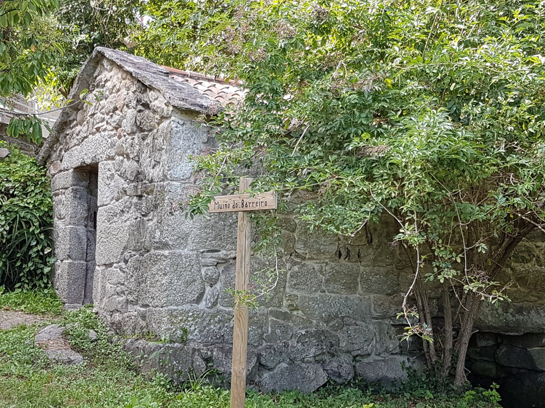 Ruta dos Muinos de Samieira
