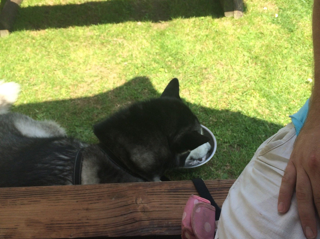 The Fortescue Arms主图