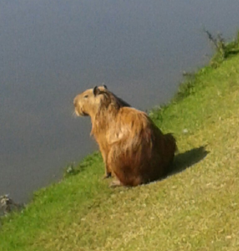 Parque das Águas-坎皮纳斯必去景点