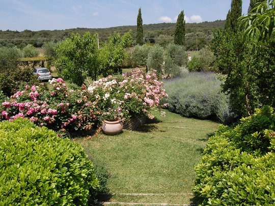 La Capalbiotta主图