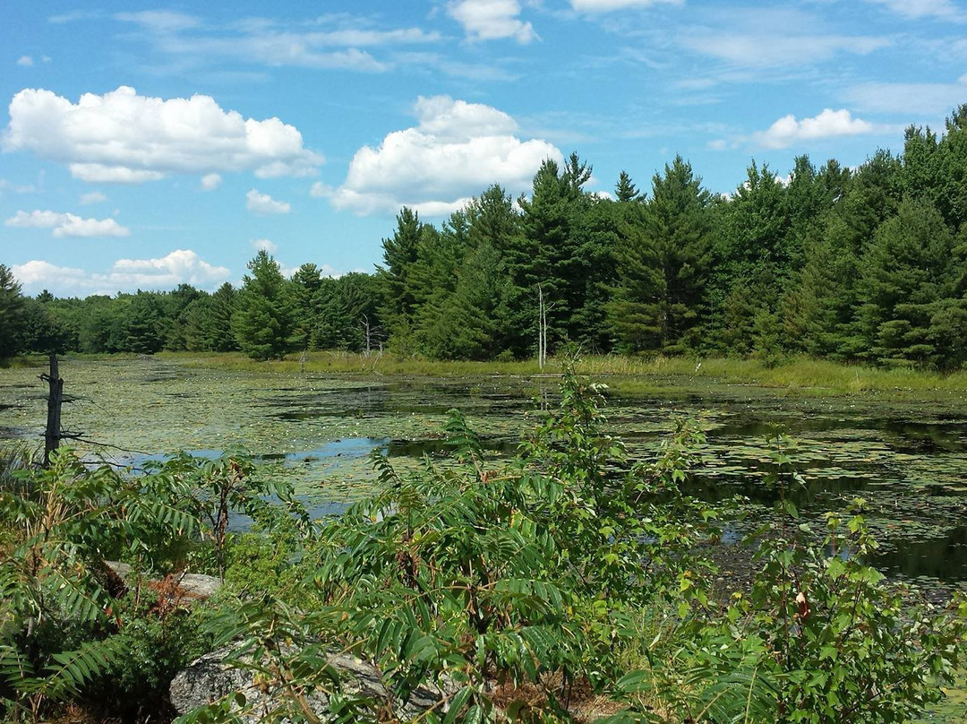 Port Severn旅游攻略图片
