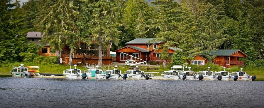 Fireweed Lodge
