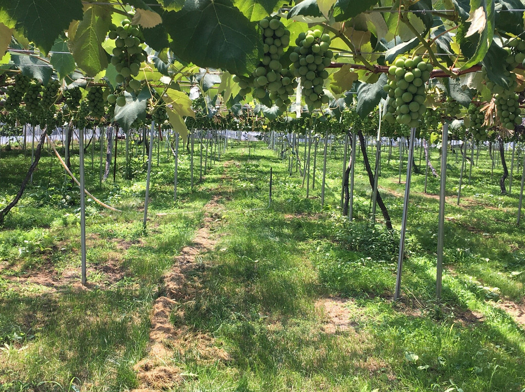 Hamada Marutome Fruits Gaden-壮瞥町必去景点