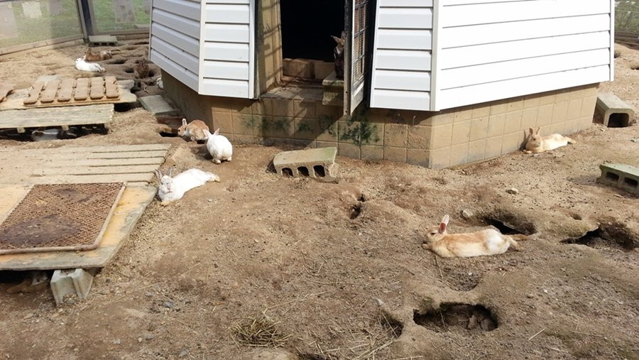 Ayabe Fureai Farm-绫部市必去景点