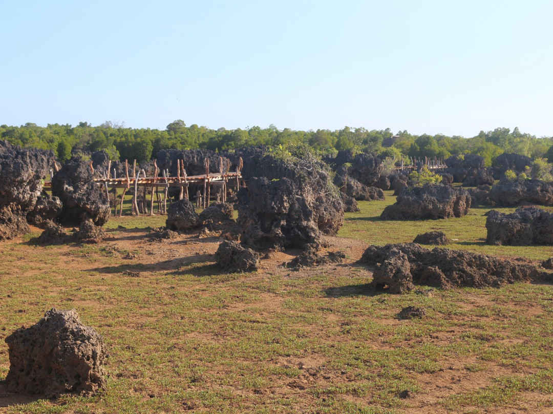 Wasini Womens Group Boardwalk-Wasini Island必去景点