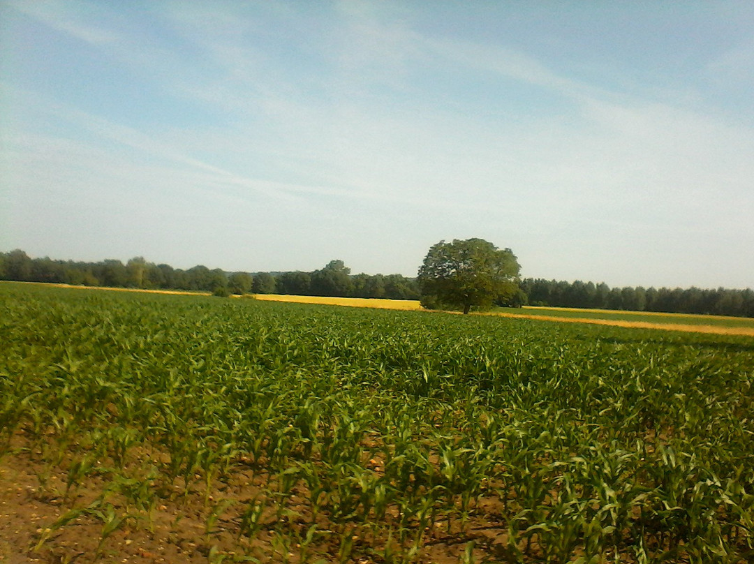 Sazilly旅游攻略图片