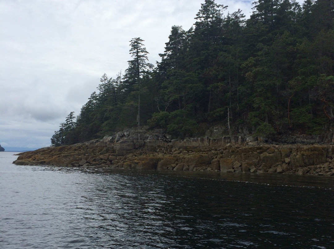 Secret Cove Sail Tours-Halfmoon Bay必去景点