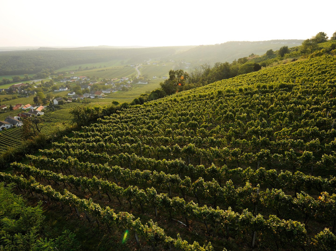 Weingut Wachter-Wiesler-Deutsch Schuetzen-Eisenberg必去景点