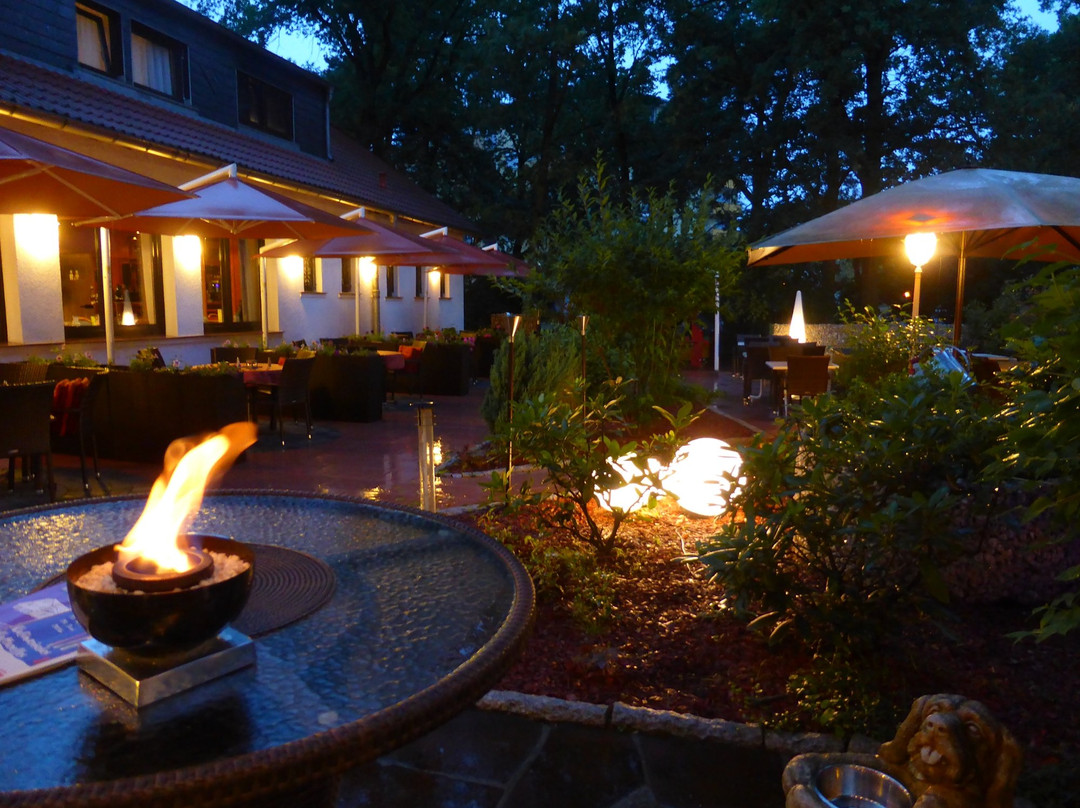 Hotel-Restaurant Roter Hahn主图