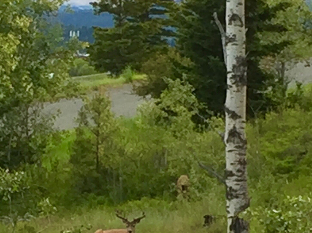 Meadow Creek Golf Club-Logan Lake必去景点