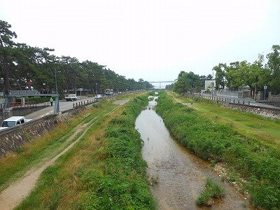 Ashiya Park-芦屋市必去景点