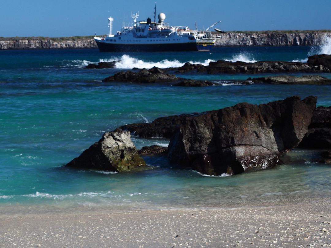 Darwin Trail-Genovesa必去景点