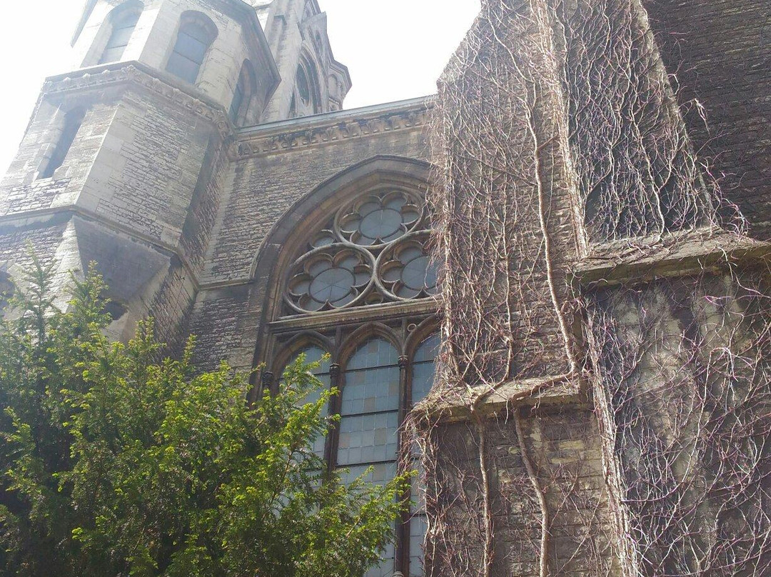 St. Pauli Kirche-布伦瑞克必去景点
