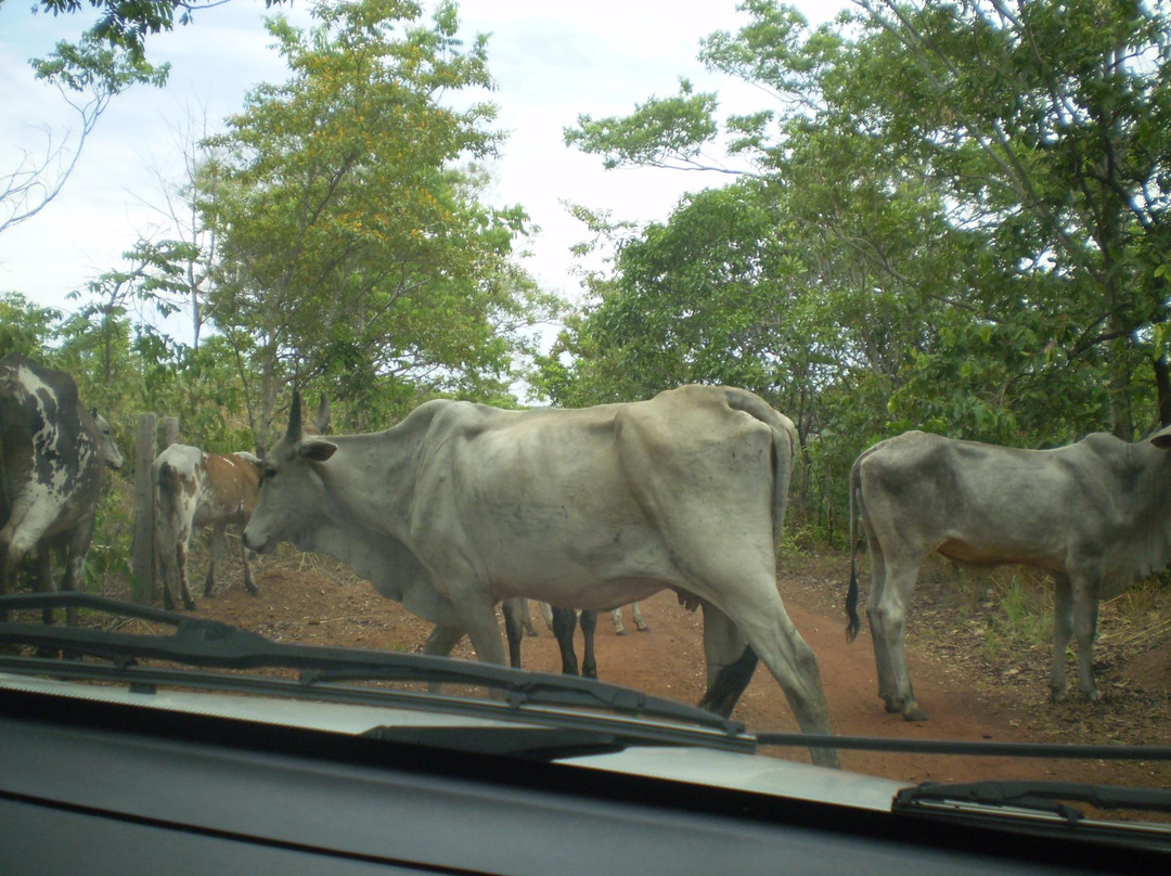 Fazenda Encantada Waterfall-Palmas必去景点