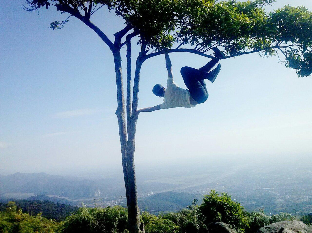 La Escuela, Vereda El Carmen-比亚维森西奥必去景点