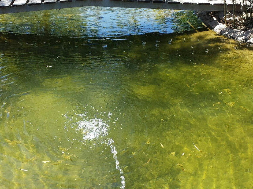 Placa Major-Mollerussa必去景点