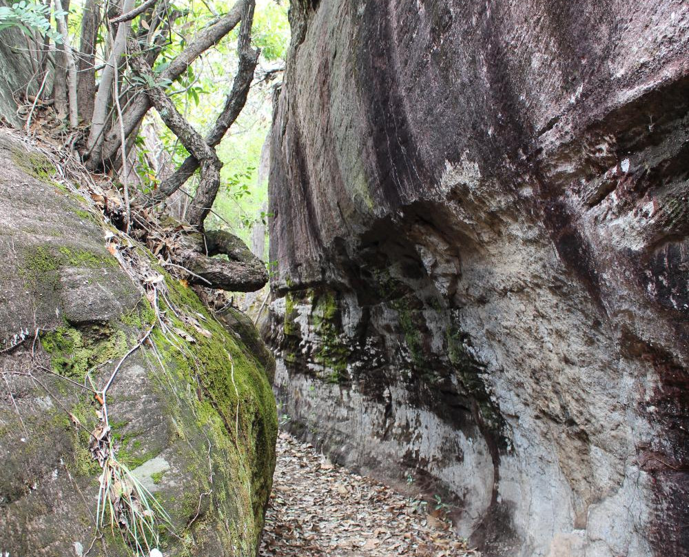 Phu Tham Phra景点图片