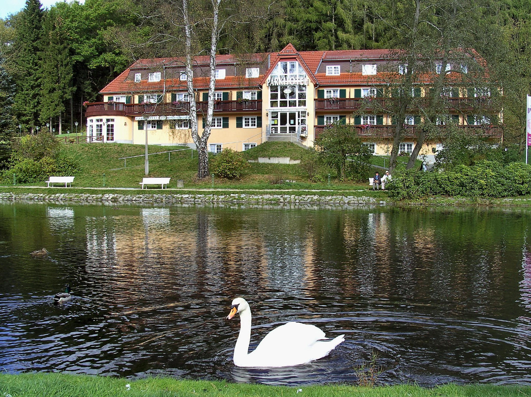 Parkhotel Bad Brambach主图