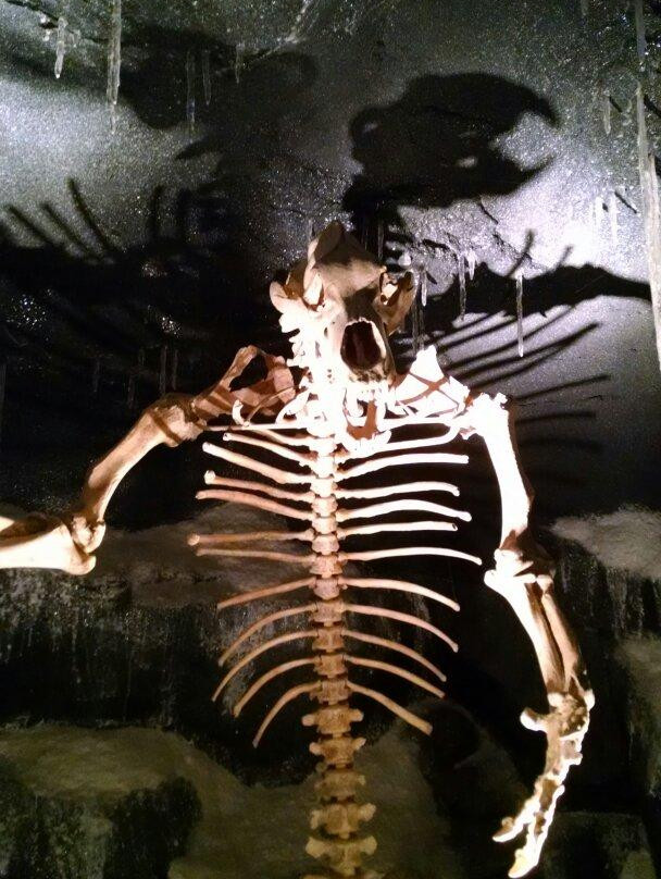 Cabela's-图拉丁必去景点