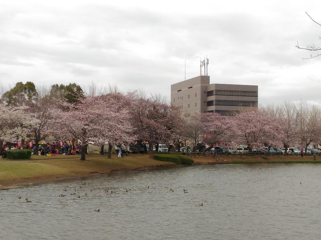 Ottonuma Park-土浦市必去景点