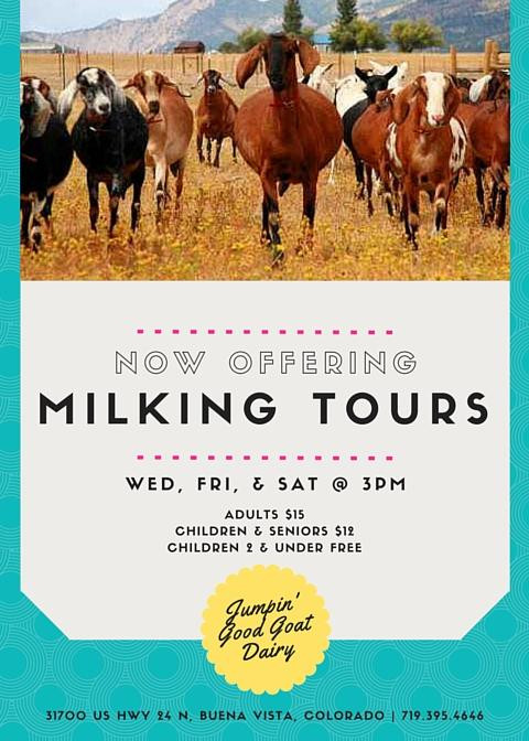 Jumpin' Good Goat Dairy-布埃纳维斯塔必去景点