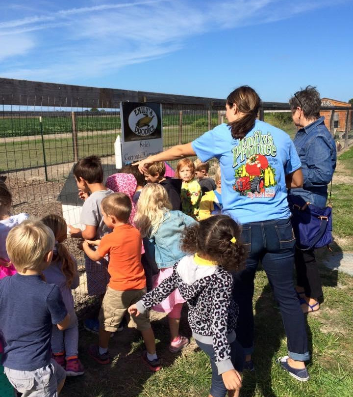Emily’s Produce-坎布里奇必去景点
